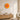 Elara Transparent Glass Wall Clock - product image 7