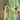 Vela Organic Cotton Stripe Bathrobe - product image 4