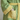 Vela Organic Cotton Stripe Bathrobe - product image 5