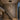 Modern Nordic 6–68 Heads Dimmable LED Cluster Chandelier - product image 9