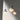 Nord Pendant Lamp - product image 7